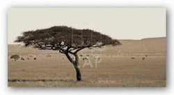 Serengeti Horizons I by Boyce Watt